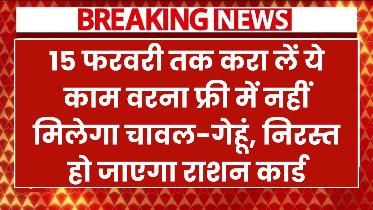 नहीं मिलेगा फ्री चावल-गेहूं 15 फरवरी तक करा लें ये काम, वरना निरस्त हो जाएगा राशन कार्ड