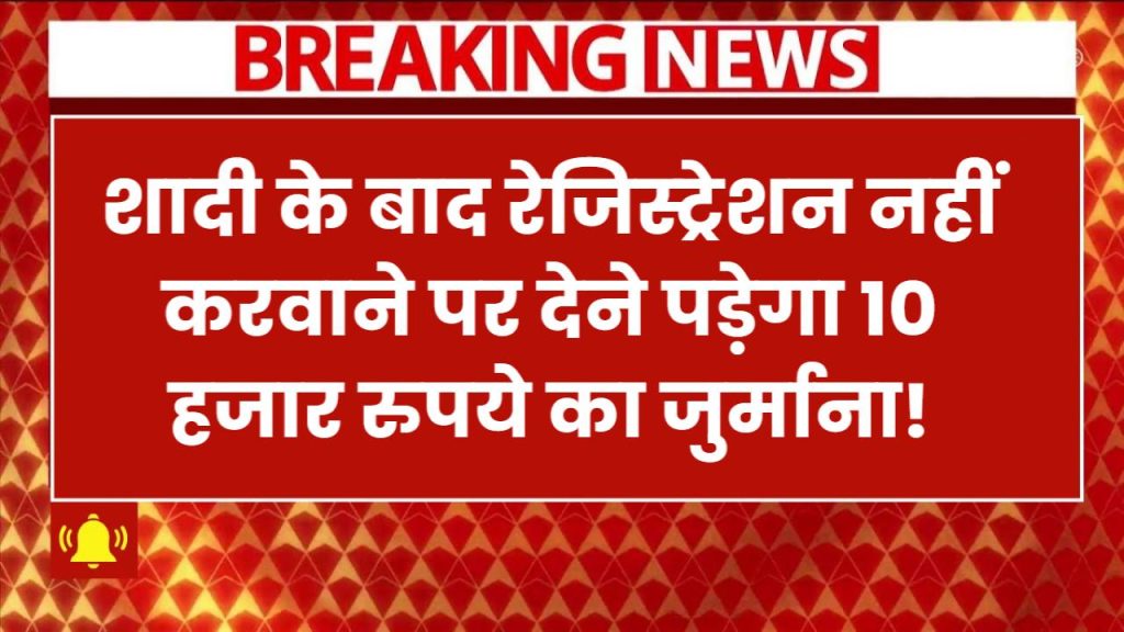 PM किसान योजना की 19वीं किस्त! 24 फरवरी को केवल इन किसानों को मिलेगा लाभ? ऐसे करें चेक