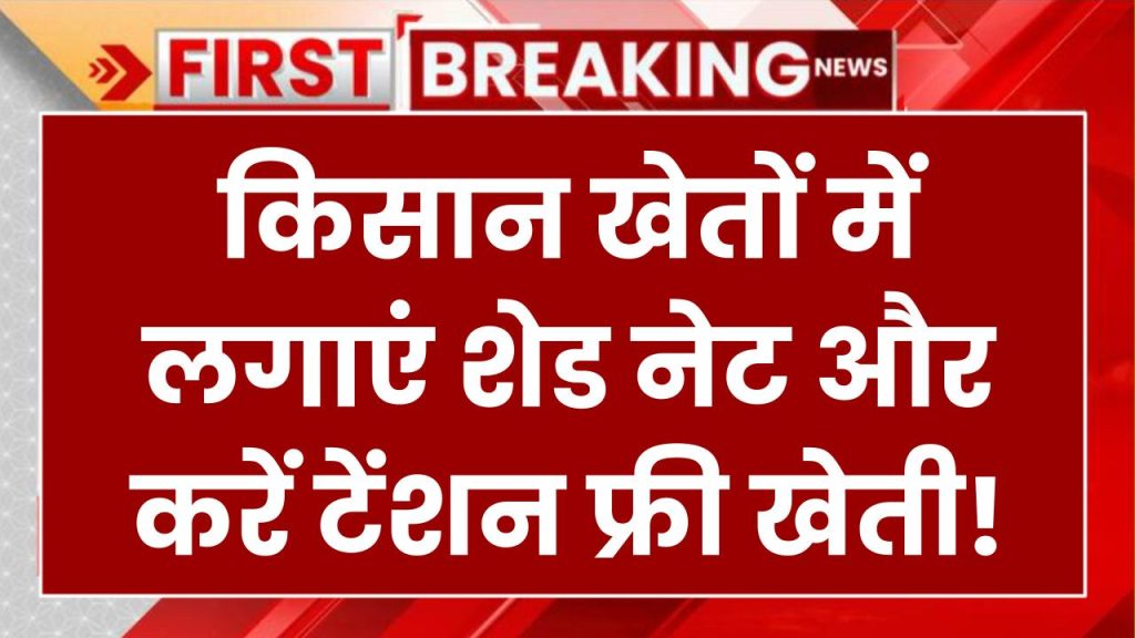 किसानों के लिए बड़ी खुशखबरी! खेतों में लगाएं शेड नेट और करें टेंशन फ्री खेती! सरकार दे रही 50% सब्सिडी, कैसे मिलेगा लाभ जानें