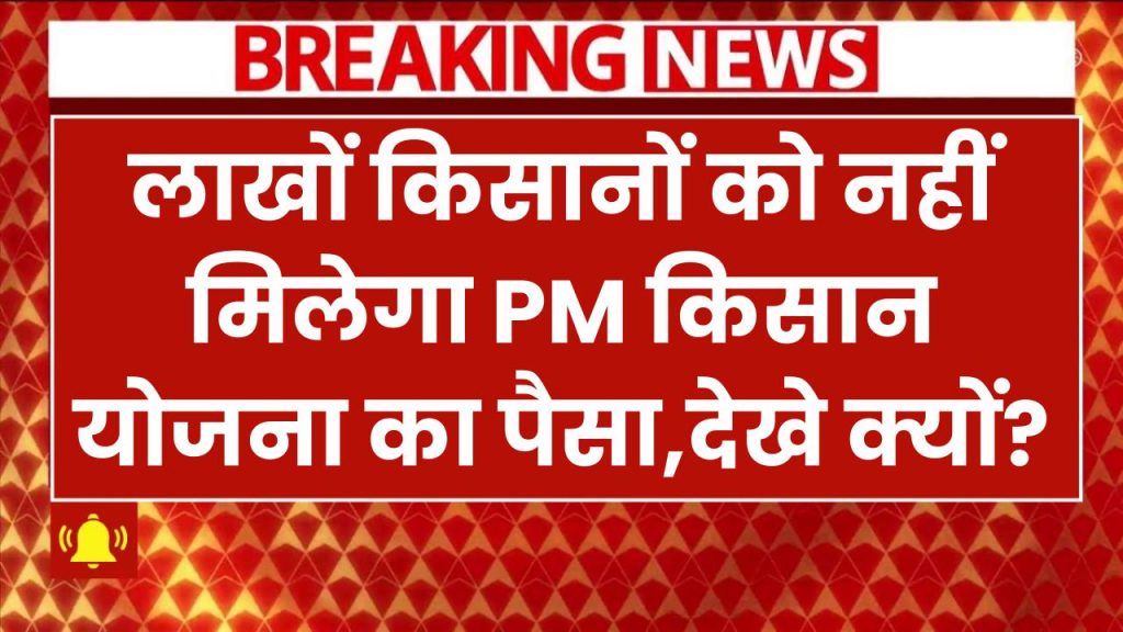 लाखों किसानों को नहीं मिलेगा PM Kisan Yojana का पैसा! सरकार के नए नियम के बाद 19वीं किस्त पर संकट